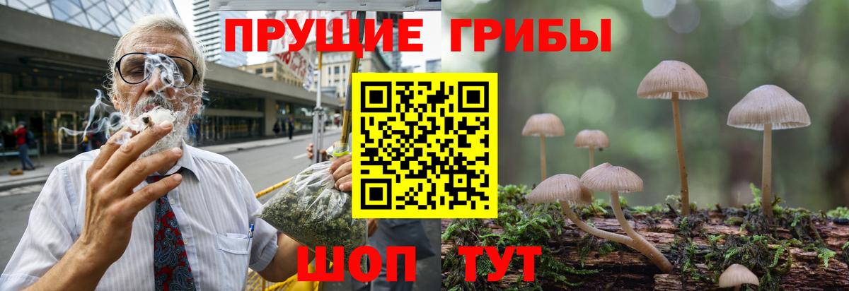 закладки  Галлюциногенные грибы Psilocybine cubensis  Вход с VPN  Урай 
